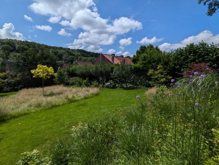Vue sur un jardin en tonte différenciée avec un massif fleuri à l'avant, à l'arrière un catalpa, des érables du japon, pin parasol, noisetiers et haie libres indigènes.