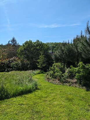 Chemin tondu avec une zone de tonte différenciée à gauche et massif arbustif à droite avec une bordure en plessis de noisetier.